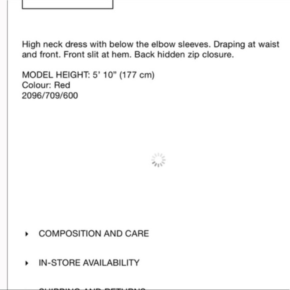 ZARA High Neck Midi Dress - Picture 12 of 15